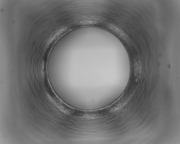 X0000080170490200612221254