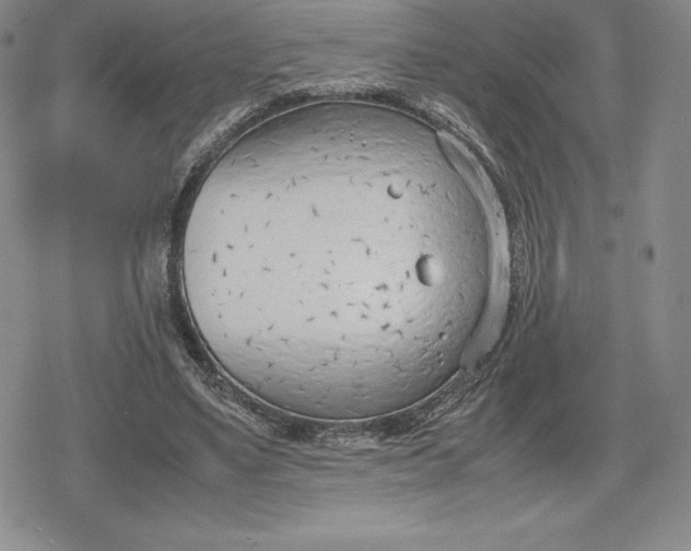 X0000080170491200612221254