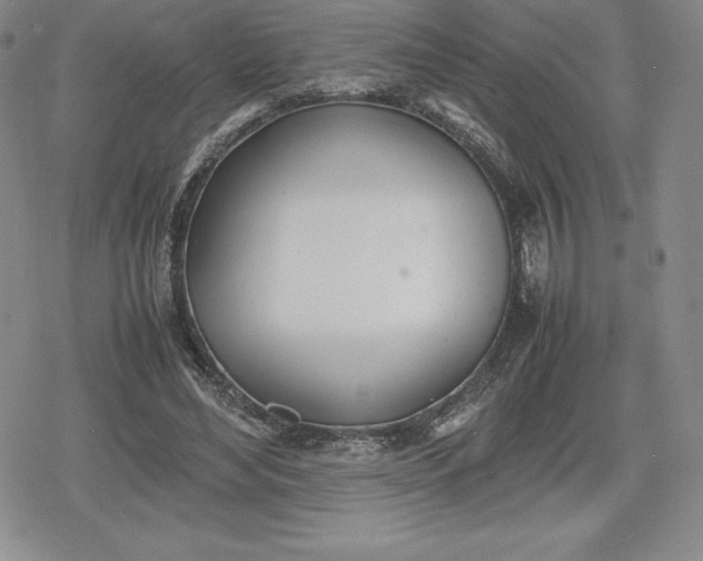 X0000080170492200612221254