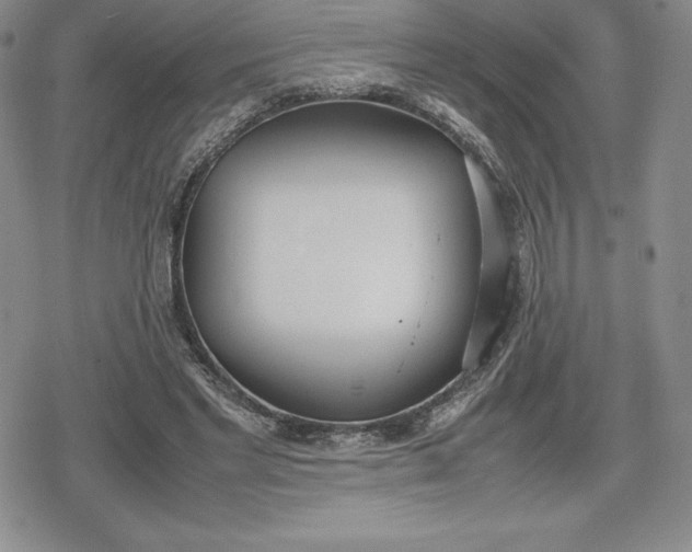 X0000080170493200612221254