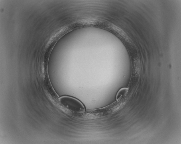 X0000080170494200612221254