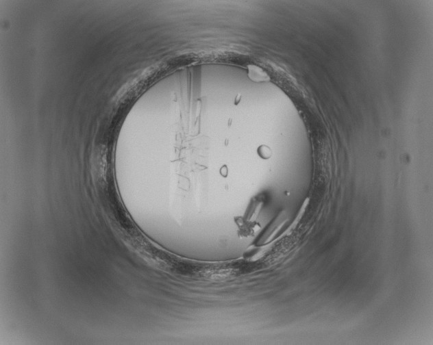 X0000080170495200612221254