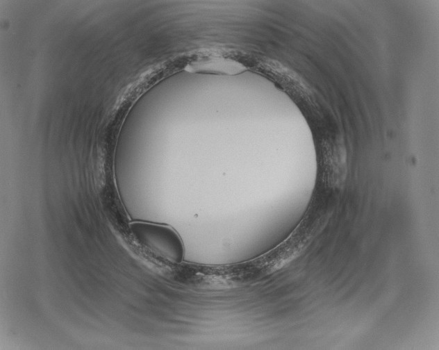 X0000080170496200612221254