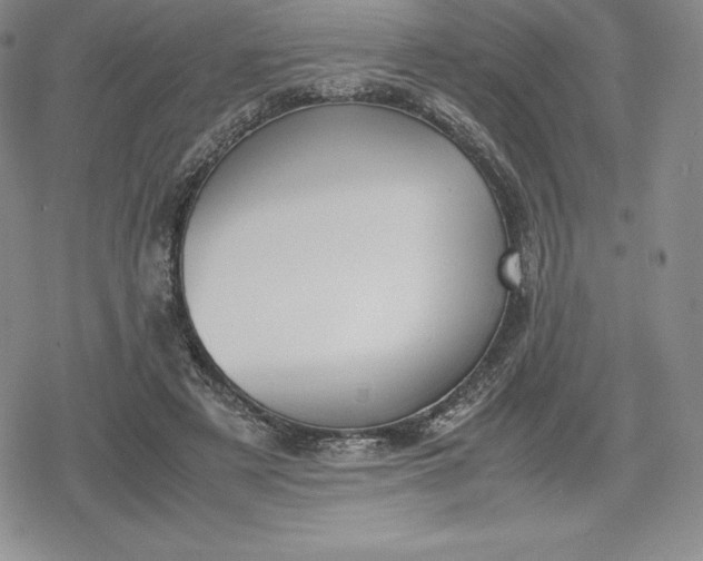 X0000080170497200612221254