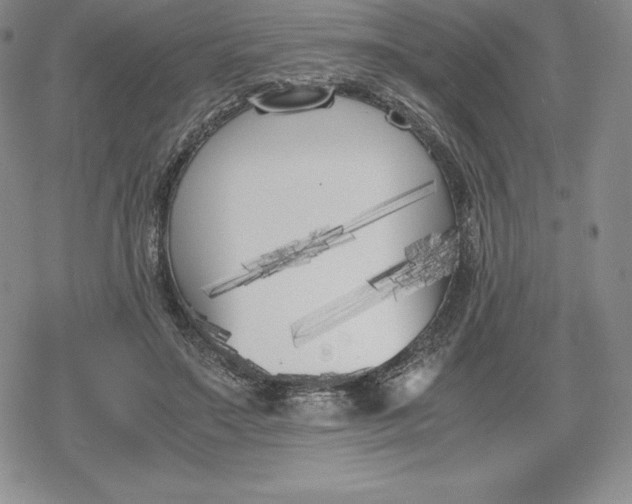 X0000080170499200612221254