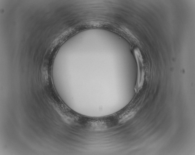 X0000080170500200612221254