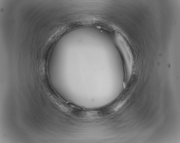 X0000080170501200612221254