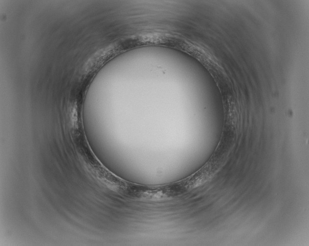 X0000080170502200612221254