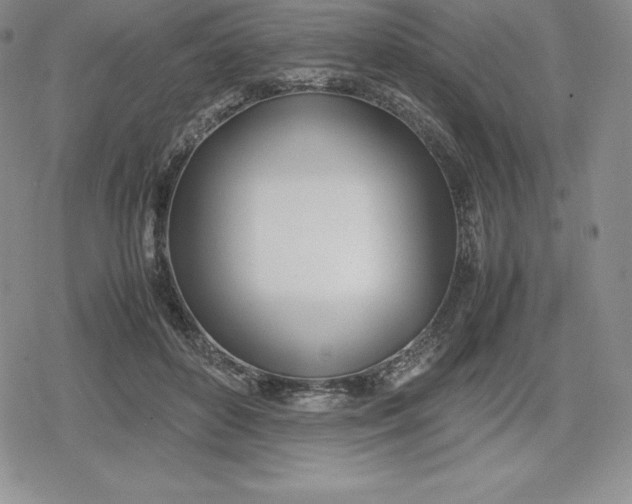 X0000080170504200612221254