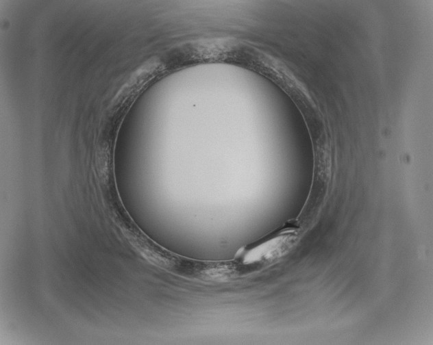 X0000080170505200612221254