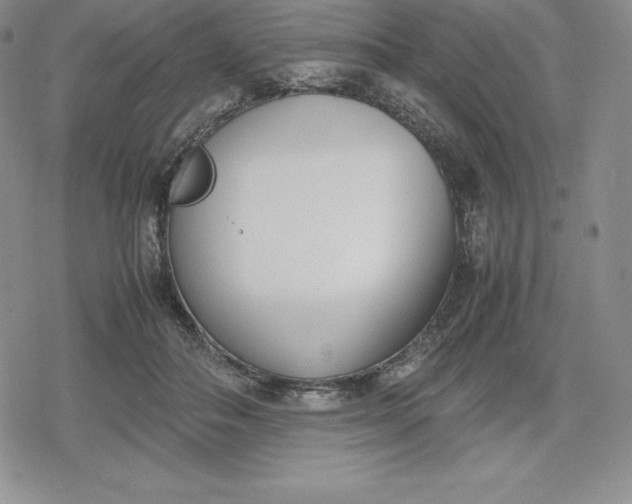 X0000080170506200612221254