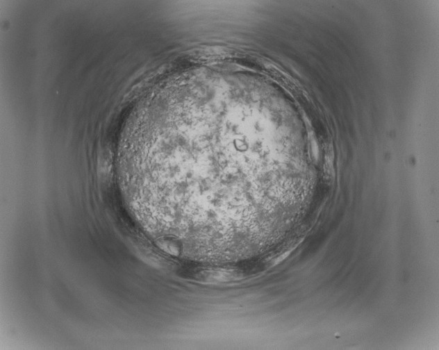 X0000080170507200612221254