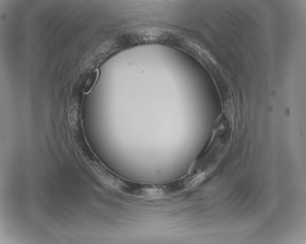 X0000080170509200612221254