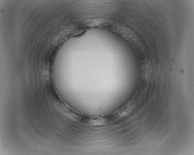 X0000080170510200612221254