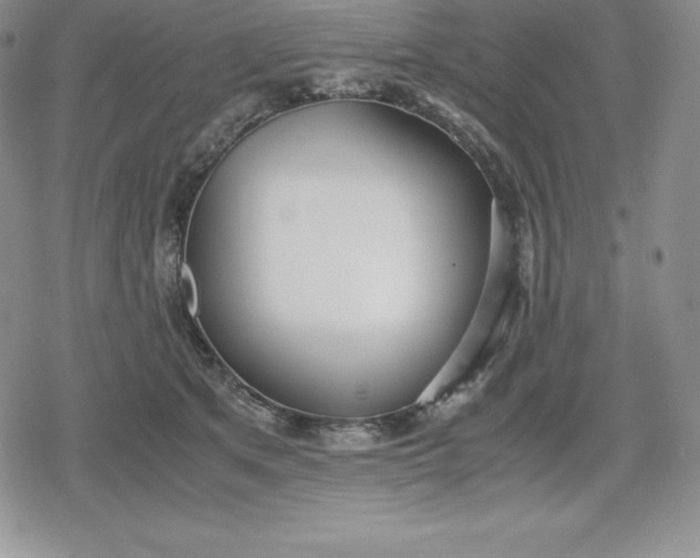 X0000080170513200612221254