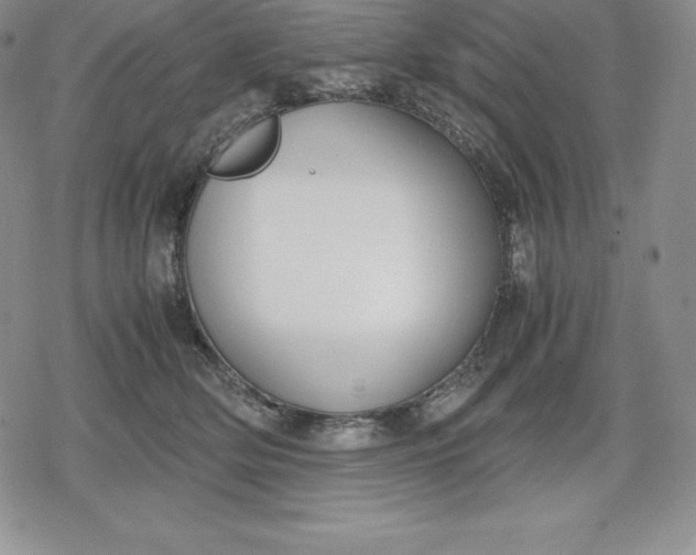 X0000080170514200612221254