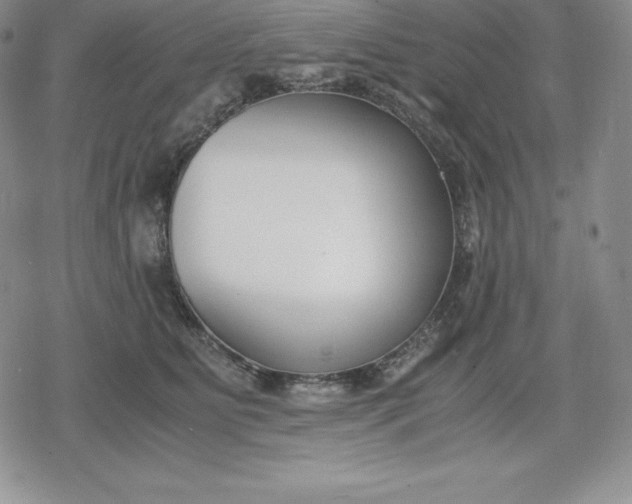 X0000080170515200612221254