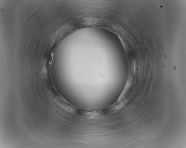 X0000080170516200612221254