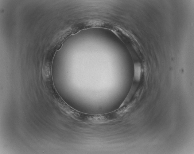 X0000080170517200612221254