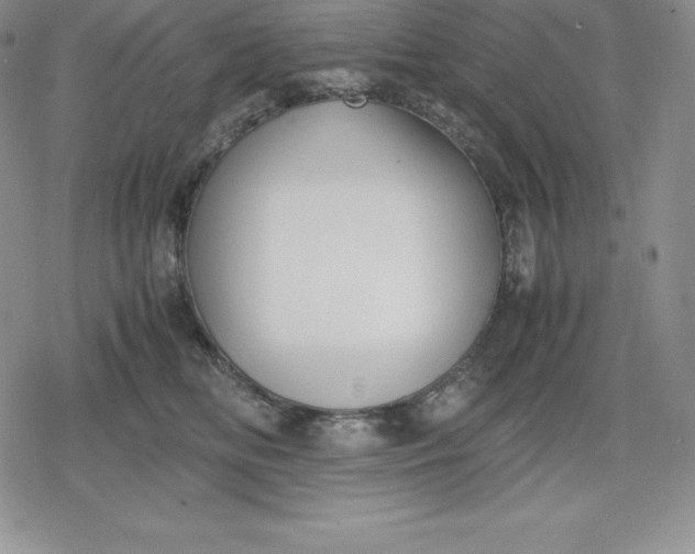 X0000080170518200612221254