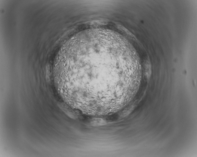 X0000080170519200612221254