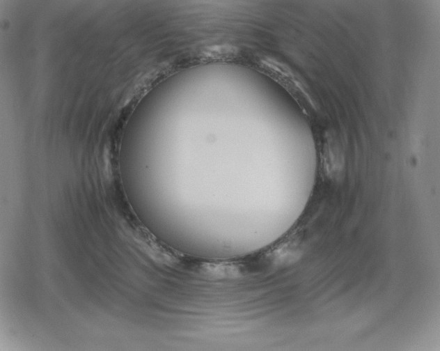 X0000080170520200612221254