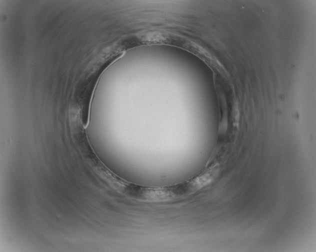 X0000080170521200612221254