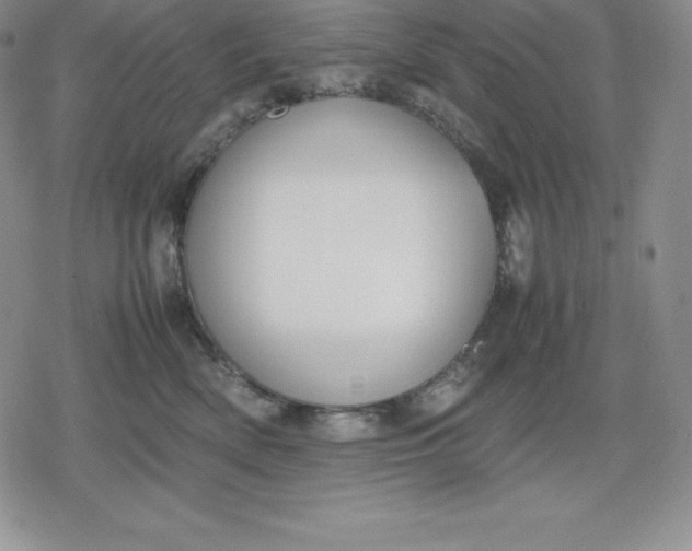 X0000080170522200612221254