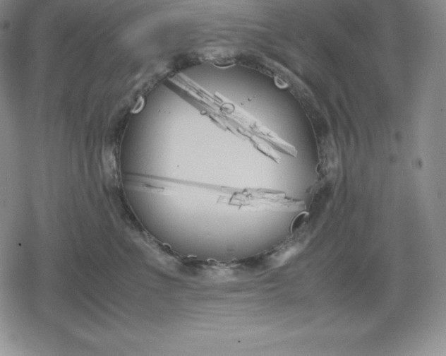 X0000080170523200612221254