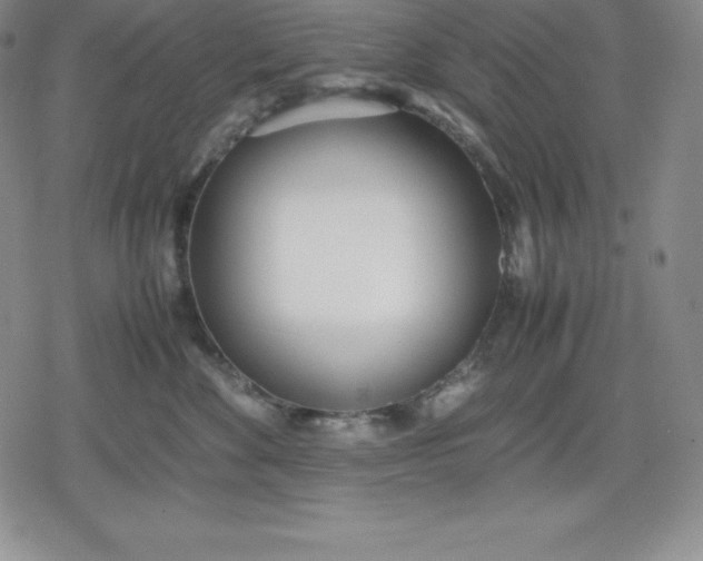 X0000080170524200612221254