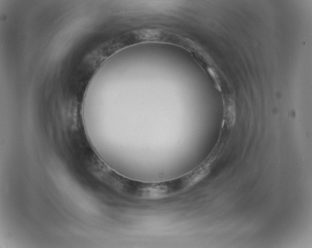 X0000080170525200612221254