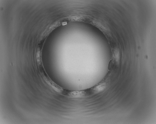 X0000080170526200612221254