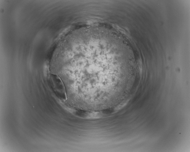 X0000080170527200612221254