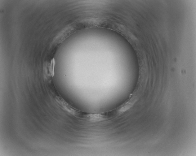 X0000080170528200612221254