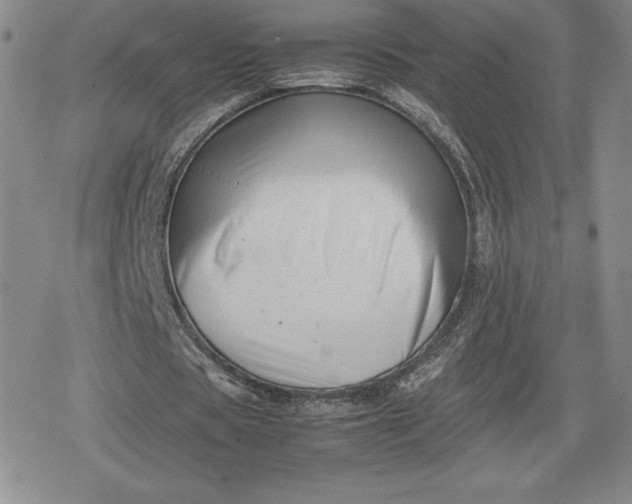 X0000080170529200612221253