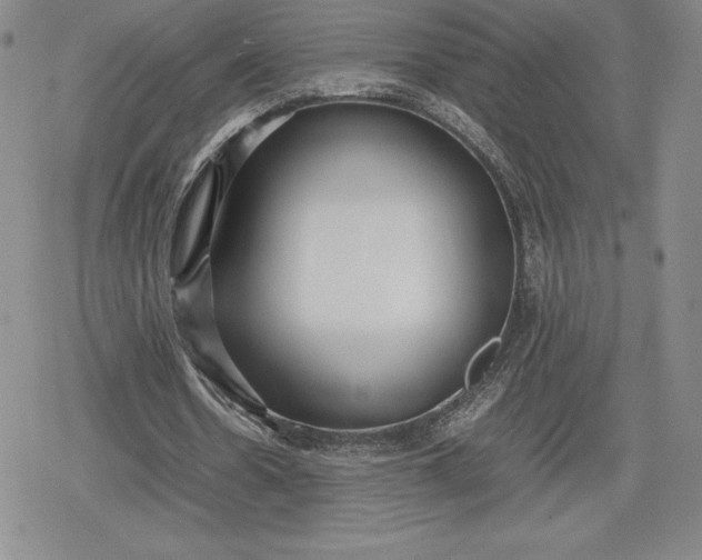 X0000080170530200612221253