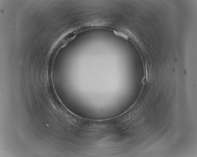 X0000080170531200612221253