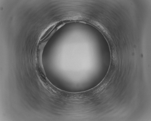 X0000080170532200612221253