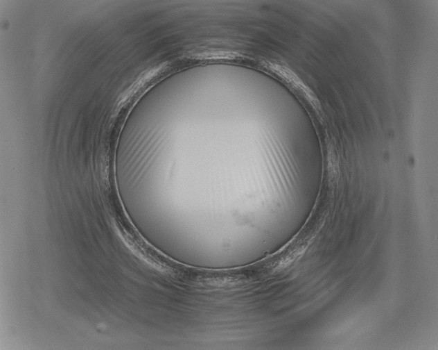 X0000080170533200612221253