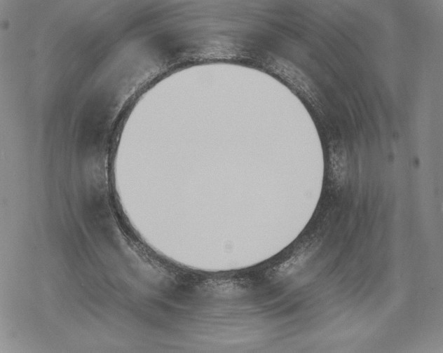 X0000080170534200612221253