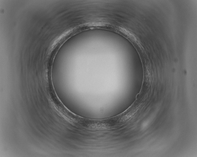 X0000080170535200612221253