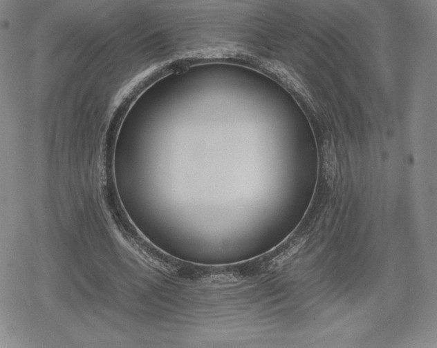 X0000080170536200612221253