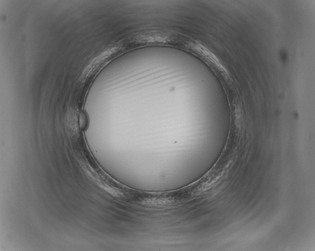 X0000080170537200612221253