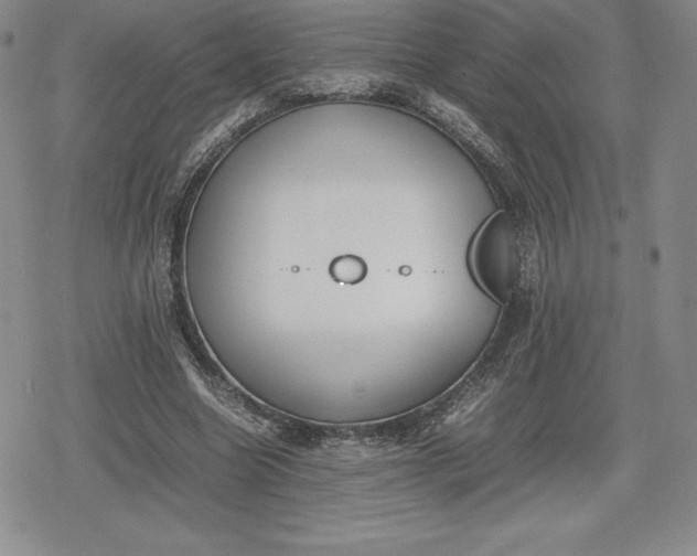 X0000080170538200612221253