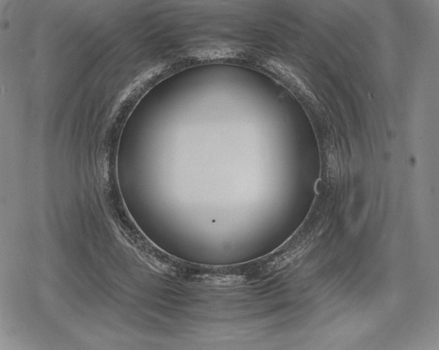 X0000080170539200612221253