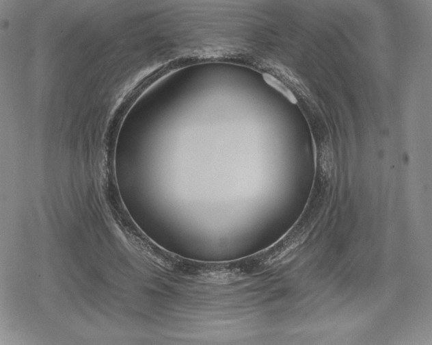 X0000080170540200612221253