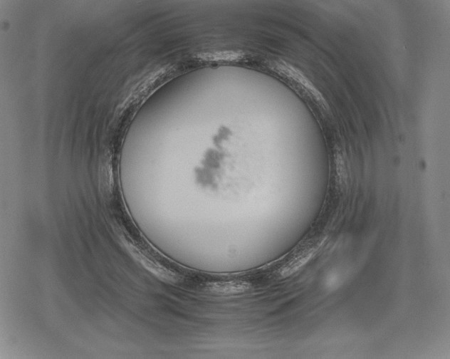 X0000080170541200612221253