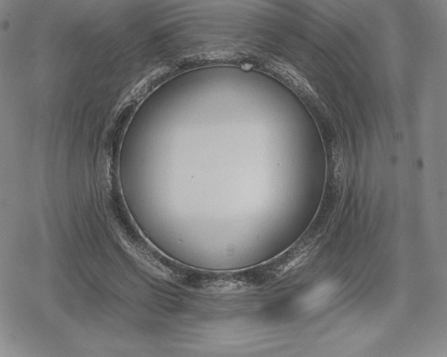 X0000080170542200612221253