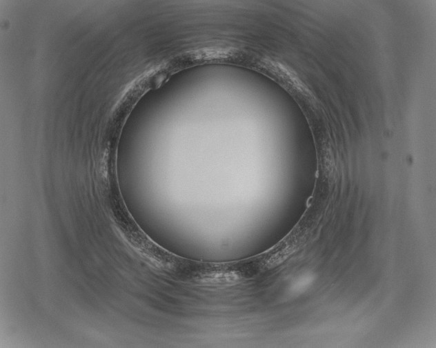 X0000080170543200612221253