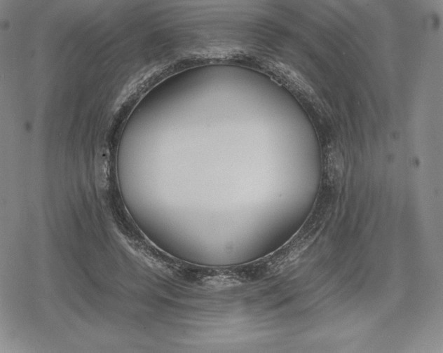 X0000080170544200612221253